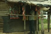 Roadside vegetable and fruit stand: by anijensen, Views[231]