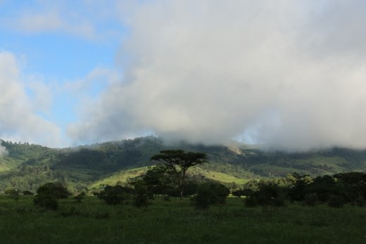 A hazy morning in Swaziland
