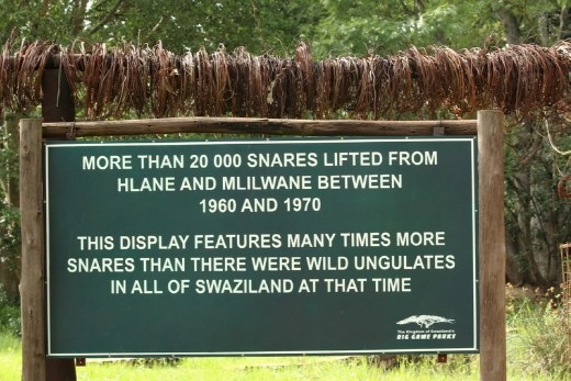 At Milwane Game Reserve, Swaziland