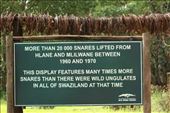 At Milwane Game Reserve, Swaziland: by anijensen, Views[183]