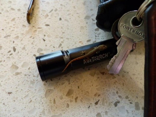 A breakfast table visitor