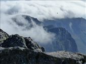 Clouds and a kite over Table Mountain: by anijensen, Views[198]