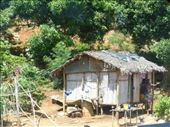 Life on Madagascar, fruit-laden mango and banana trees everywhere.: by anijensen, Views[426]