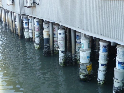 How to wrap your wood pilings with concrete, Chow Jetty, George Town, Penang, Malaysia