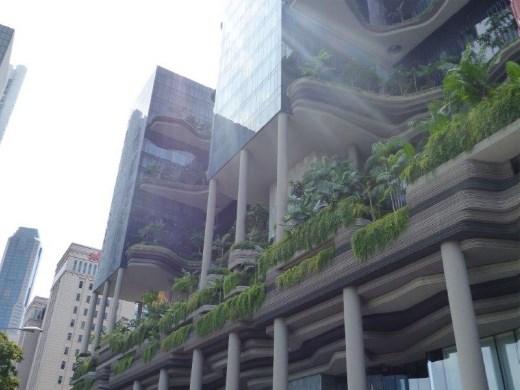 We've never seen so many things growing in and on gorgeous buildings