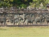 This wall of elephant reliefs is over 300 yards lang: by anijensen, Views[435]