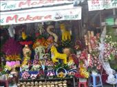 The flower market in Saigon, getting ready for the New Year's celebration for the Year of the Goat: by anijensen, Views[429]