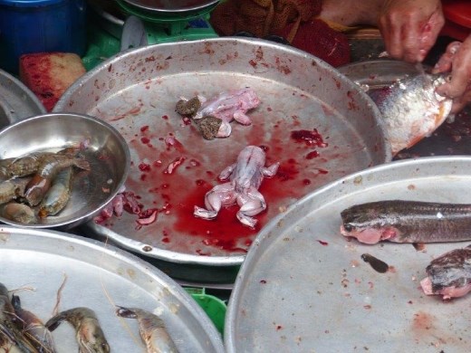 You can get just about anything in the alley markets, Saigon