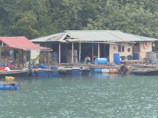About 60% of this floating village in Ha Long Bay has already been relocated onto land by the Vietnamese government.