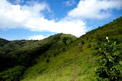 In search Mountain Gorilla's, the Journey Into the Depths of the Bwindi