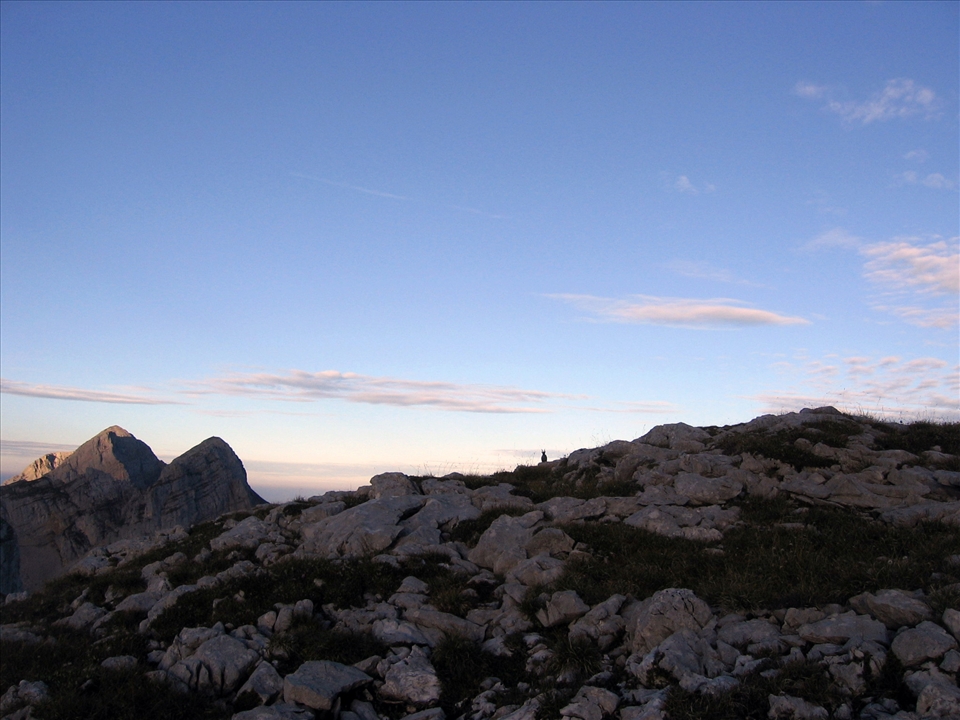 ... but not anymore. From October 2013, the massif extinction of alpine ibex was authorized because of the spread of brucellosis (contradictory decision). 260 animals were killed in next few days and more other during the year. Last time we met only one alpine ibex in our Grand Bargy. I just truly hope it is not the last one... 