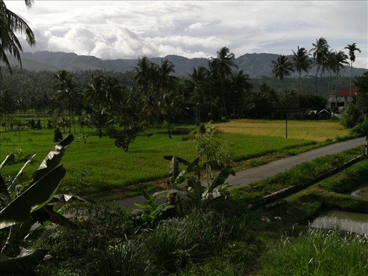 Natural expanse of West Sumatra who calm the mind. I took this photo at the back of the restaurant.