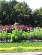 by anita_81, Views[170]