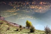 When i saw the reflection on the water i was amazed by the  image reflect. Now when i show to someone, the first impression is that the sky is burning :): by anita_tripeira, Views[248]