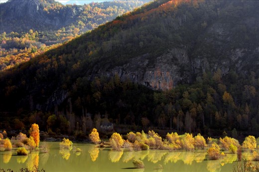 When i took this photo i start to create an image of trees taking bath and talking between them. Almost looks that they are walking under the water. 