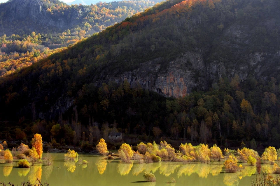 When i took this photo i start to create an image of trees taking bath and talking between them. Almost looks that they are walking under the water. 