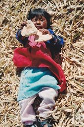 Enjoying the meal: by anitakappa, Views[374]