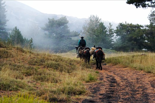 A local farmer on Mt. Etna, Sicily.