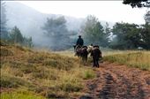 A local farmer on Mt. Etna, Sicily.: by anitapineapple, Views[273]