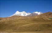 The trishuli peak towers above the Bedni medows: by anjan, Views[1019]