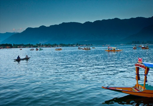 The blue hour at Dal Lake
