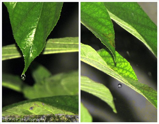 A little bit of rain