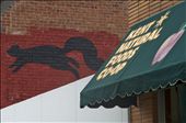 Symbols of Kent: the black squirrel (our mascot) and the natural foods store.: by annabelle8361, Views[521]