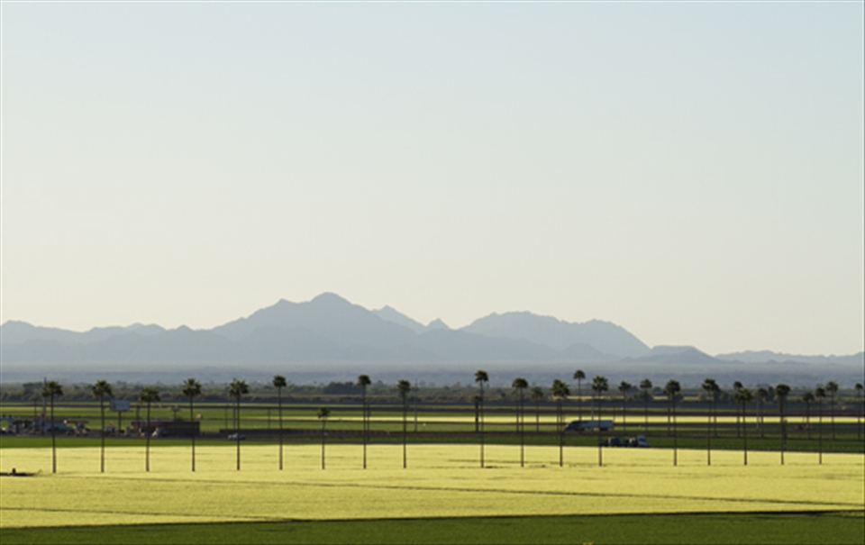 Yuma farmlands, Arizona.  