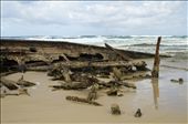 SS Maheno scattered on the beach: by annacalvert, Views[586]