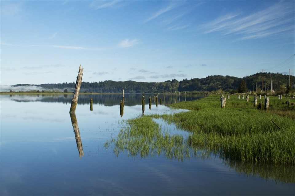 Gardiner Boat Launch on the Umpqua River, in the Douglas County park is a stunning waterway in Oregon