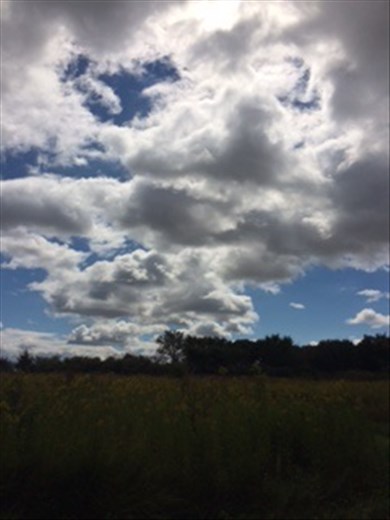 From Catlin County Park, IL 