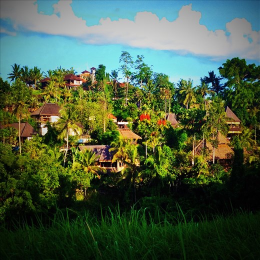 The views from the walk across town.