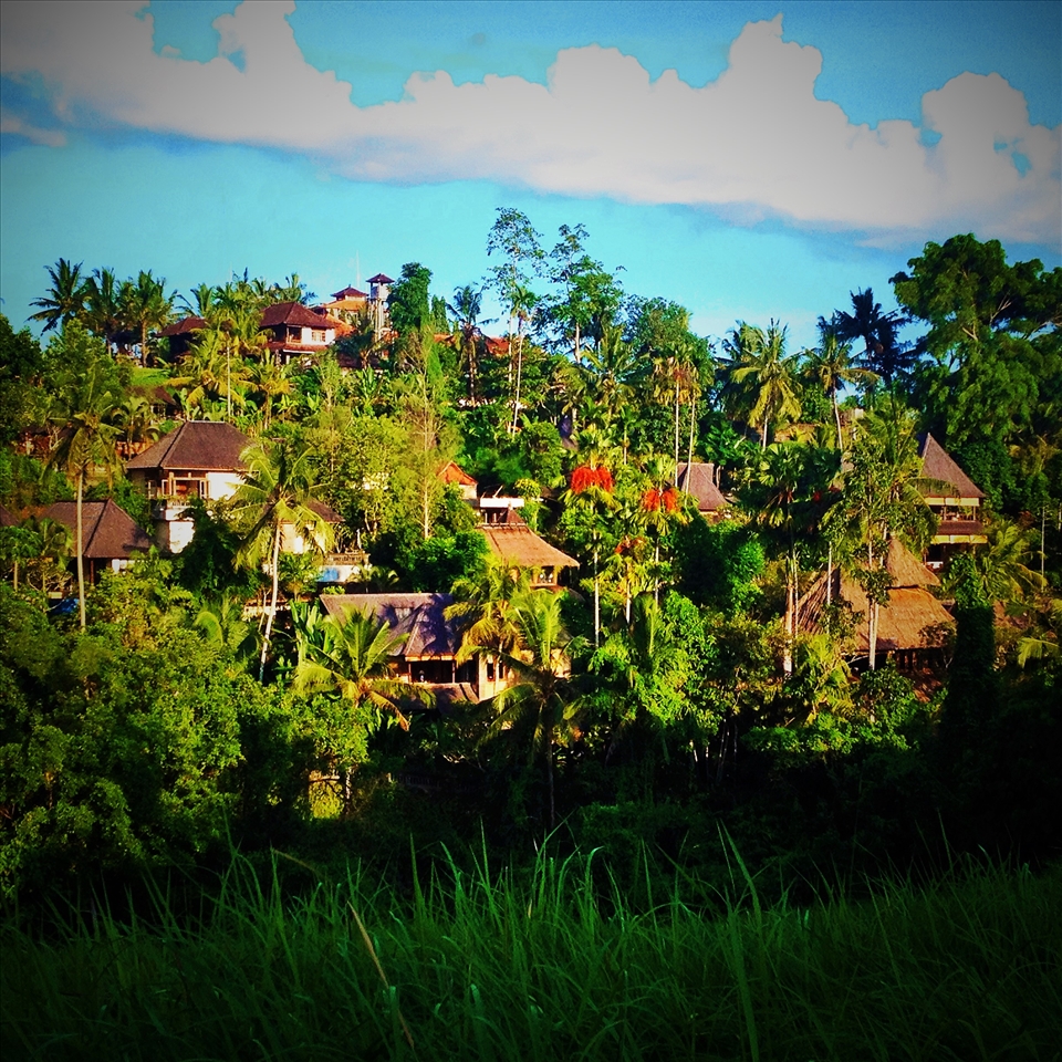 The views from the walk across town.