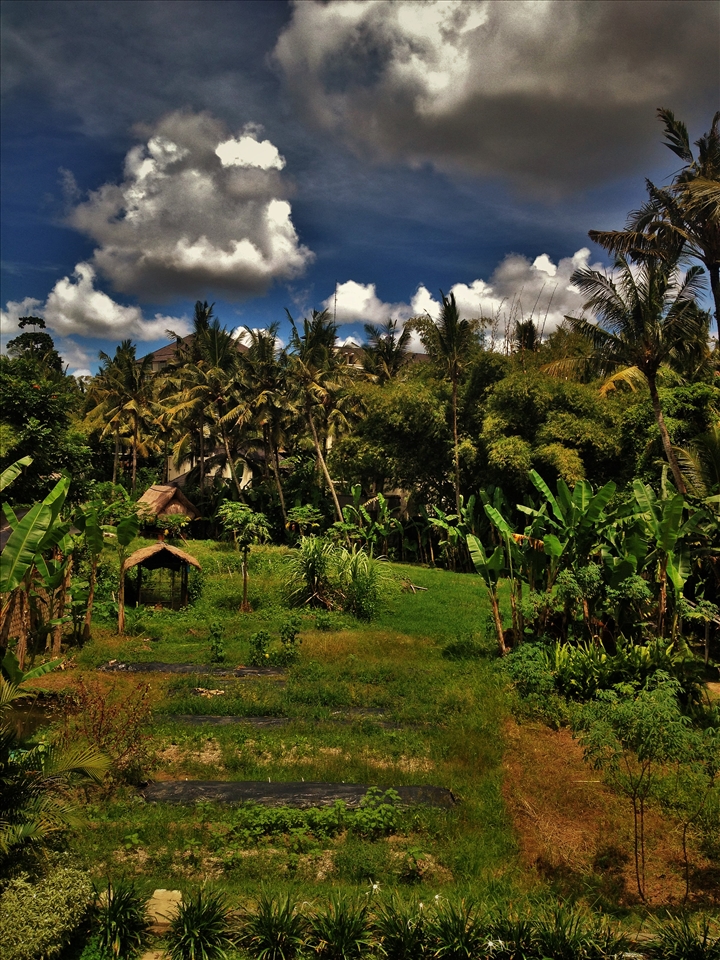 The fierce sky before a nasty storm.