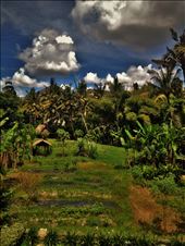 The fierce sky before a nasty storm.: by annajandrin, Views[279]