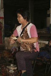 Freshest chicken in town: by annamair, Views[361]