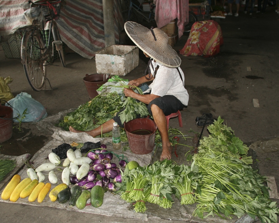 Asian greens and a very shy lady