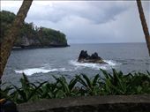 by annanderson, Views[436]