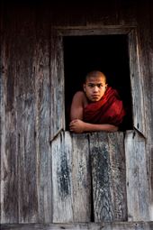 After the feasting, the child parading and buckets of tea drinking, sunset brings the villages to the local monastery. Built with local teak wood, it's brown façade is fading, but beautifully and elegantly. The inside creeks with every footstep of my heavy trekking boots. But the barefoot monks  pass without a sound. As gentle as their faces, they follow me to an upstairs window. Below sees a parade of novices, local children in their best jewels, on hired horses, and surrounded by uncles and cousins playing sheep skin drums. The spectacle seems too brash for the simplicity of the Buddha's way, but it's only for a day. Tomorrow the children will learn serenity, and how to walk with silent feet through the teak monasteries.: by annapurnauna, Views[658]