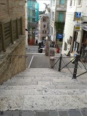 by annarisa, Views[188]