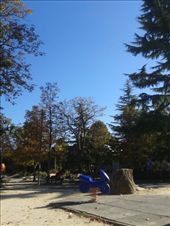 by annarisa, Views[205]