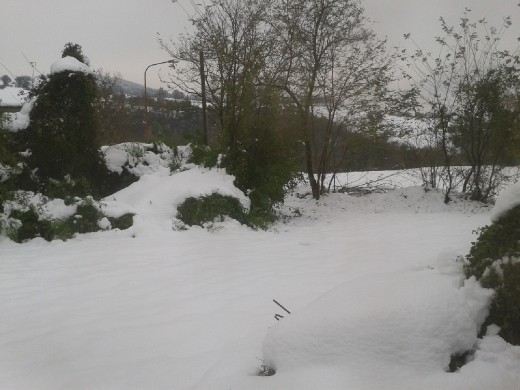 Snow covered landscape Snow covered landscape