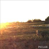 by annarisa, Views[222]