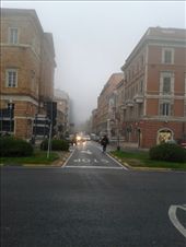 by annarisa, Views[256]