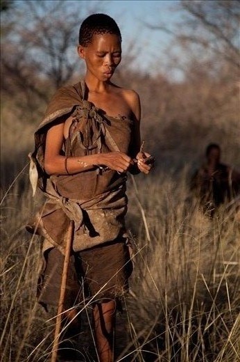 San woman desrcibing medicinal uses for the root in her hand. Speaking in traditional 'click' language. Ghanzi, Botswana.