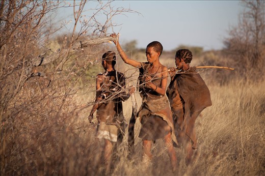 San women gathering for food. Traditionally women are the gatherers within the tribe. Ghanzi, Botswana.