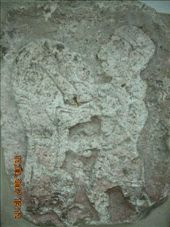 by annatakesatrip, Views[318]