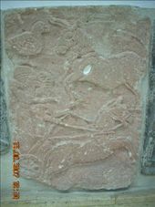 by annatakesatrip, Views[344]