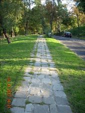 by annatakesatrip, Views[165]