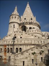 by annatakesatrip, Views[229]